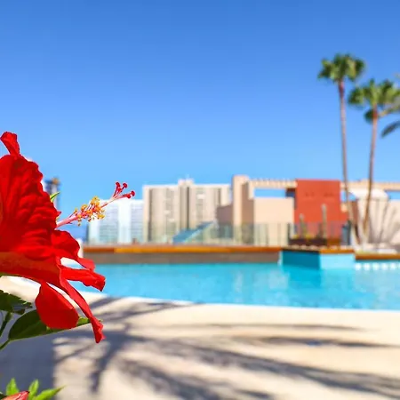 Chill In Paradise Playa Paraiso  Exterior foto