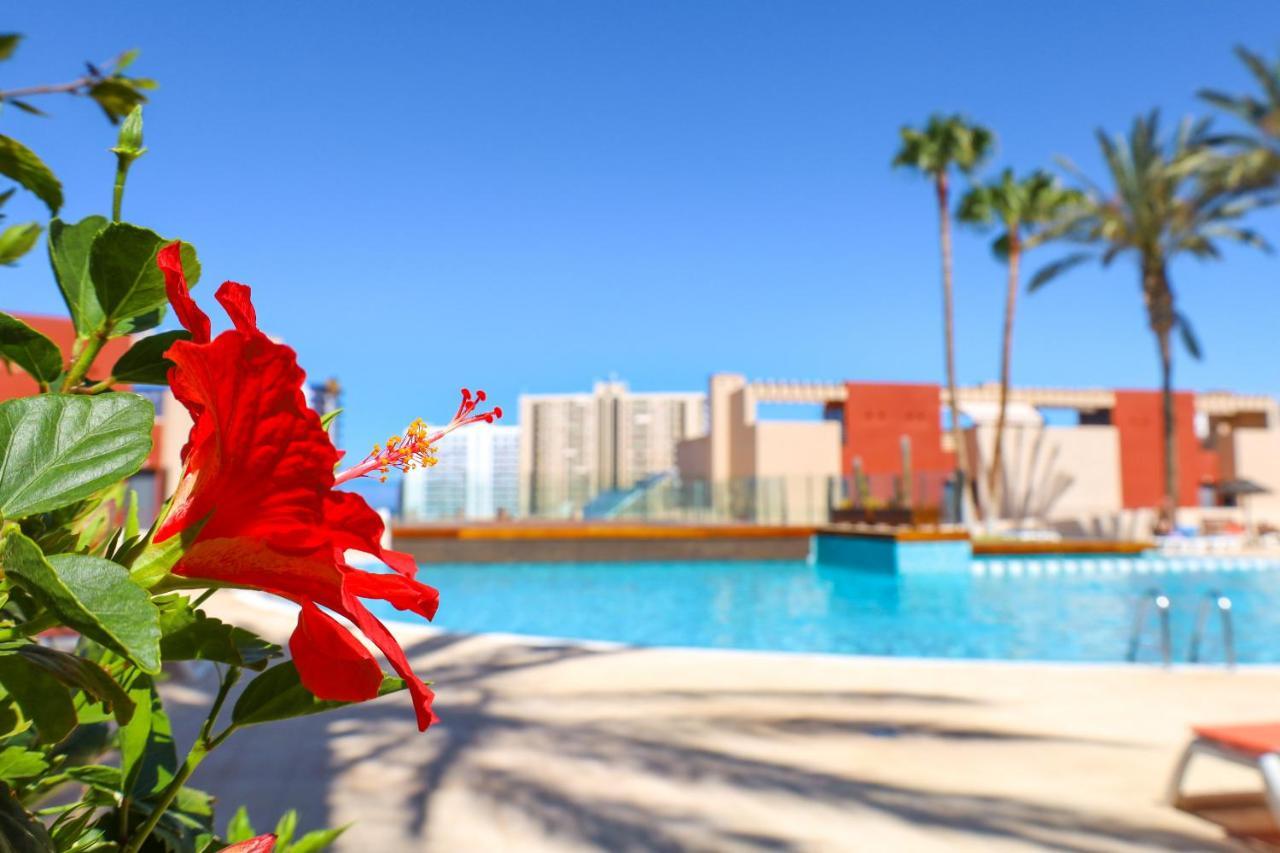 Chill In Paradise Apartamento *